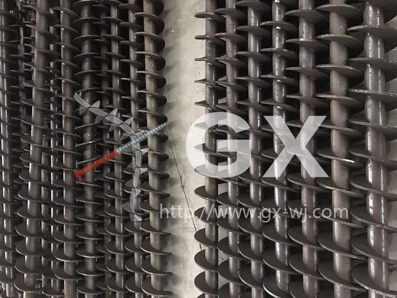 �����Ⱥ���������ҶƬ